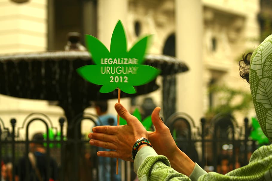 Un joven agarrando un cartel con forma de hoja de cannabis con la inscripción Uruguay Legaliza 2013