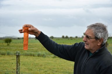Productor rural enseñando el pluviómetro que marca 25 milímetros llovidos. Foto: Agustín Sartori.