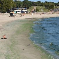 A man rests at the Ramirez beach -disqualified for bathing due to the presence of cyanobacteria- in Montevideo on February 28, 2019. (Photo by MIGUEL ROJO / AFP)