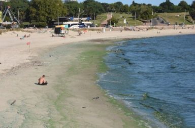 A man rests at the Ramirez beach -disqualified for bathing due to the presence of cyanobacteria- in Montevideo on February 28, 2019. (Photo by MIGUEL ROJO / AFP)