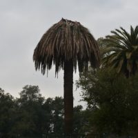 Foto: Intendencia de Canelones.