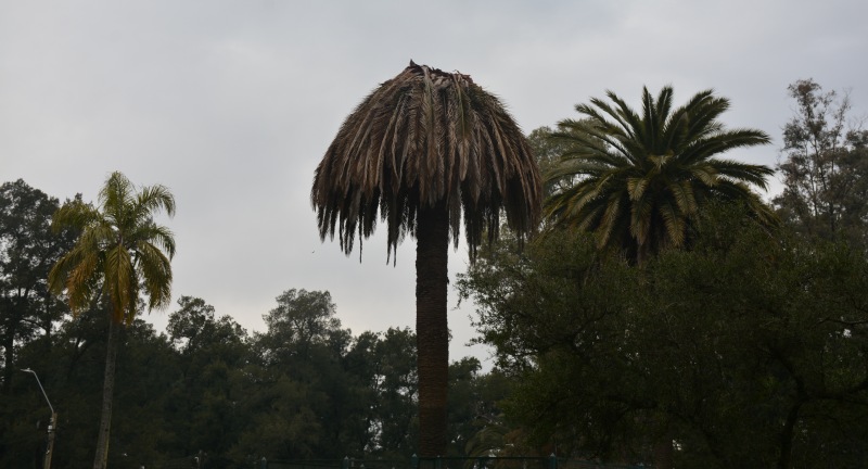 Foto: Intendencia de Canelones.