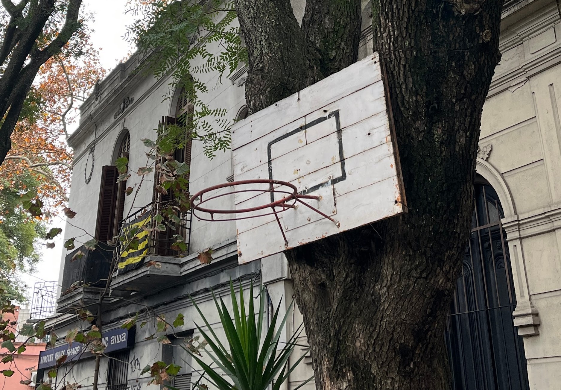 El juego fuera de la cancha: las apuestas online entre deportistas profesionales